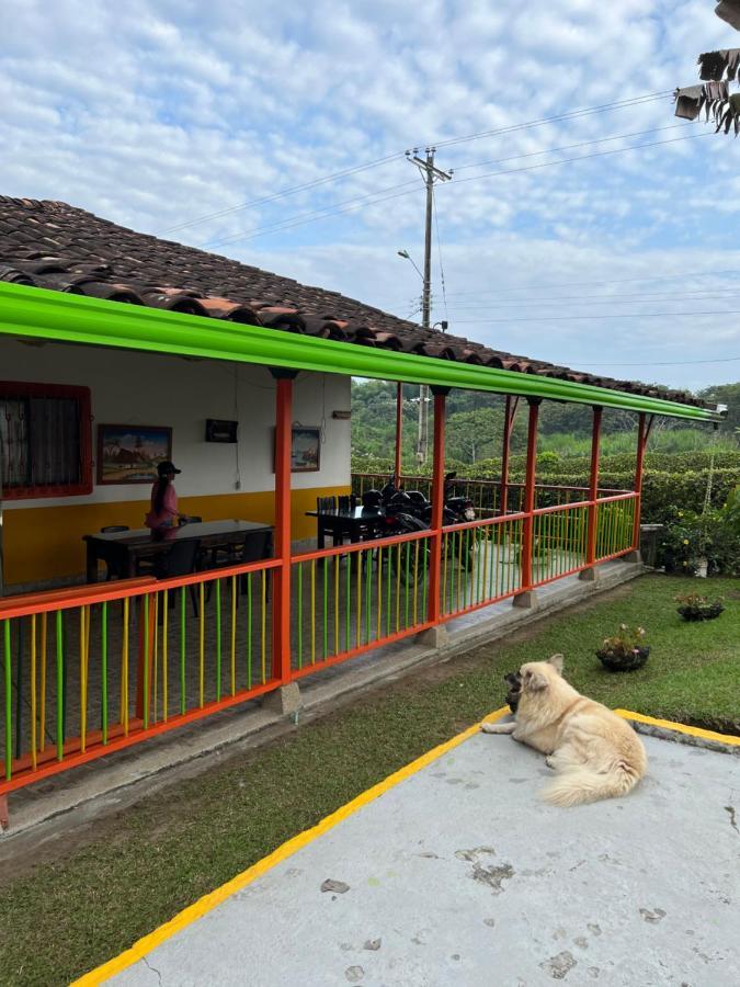 Alojamiento Campestre Hawaii Монтенегро Экстерьер фото